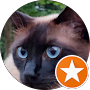 Foto profil Vasile Tintisan